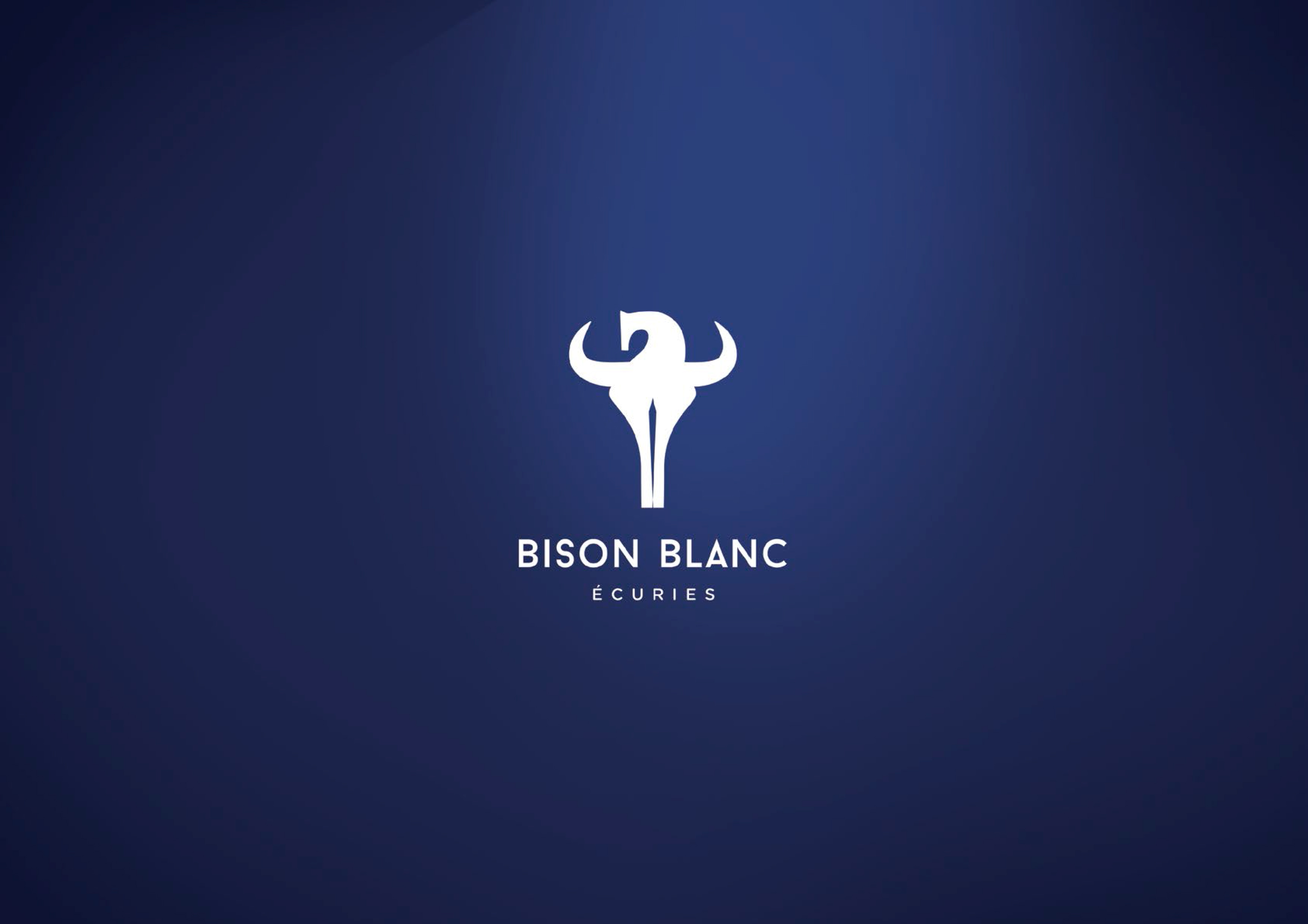 Csakébon - Bison Blanc - All rights reserved